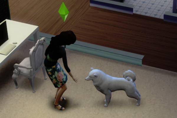 模拟人生4如何教狗狗上厕所？模拟人生训练教狗狗上厕所的方法